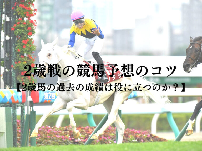 2歳戦の競馬予想のコツ【2歳馬の過去成績は役に立つのか？】│統計競馬アカデミア