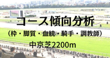 中京芝2200m　最も厳密なコース傾向分析｜スタミナと騎手の経験が重要なコース